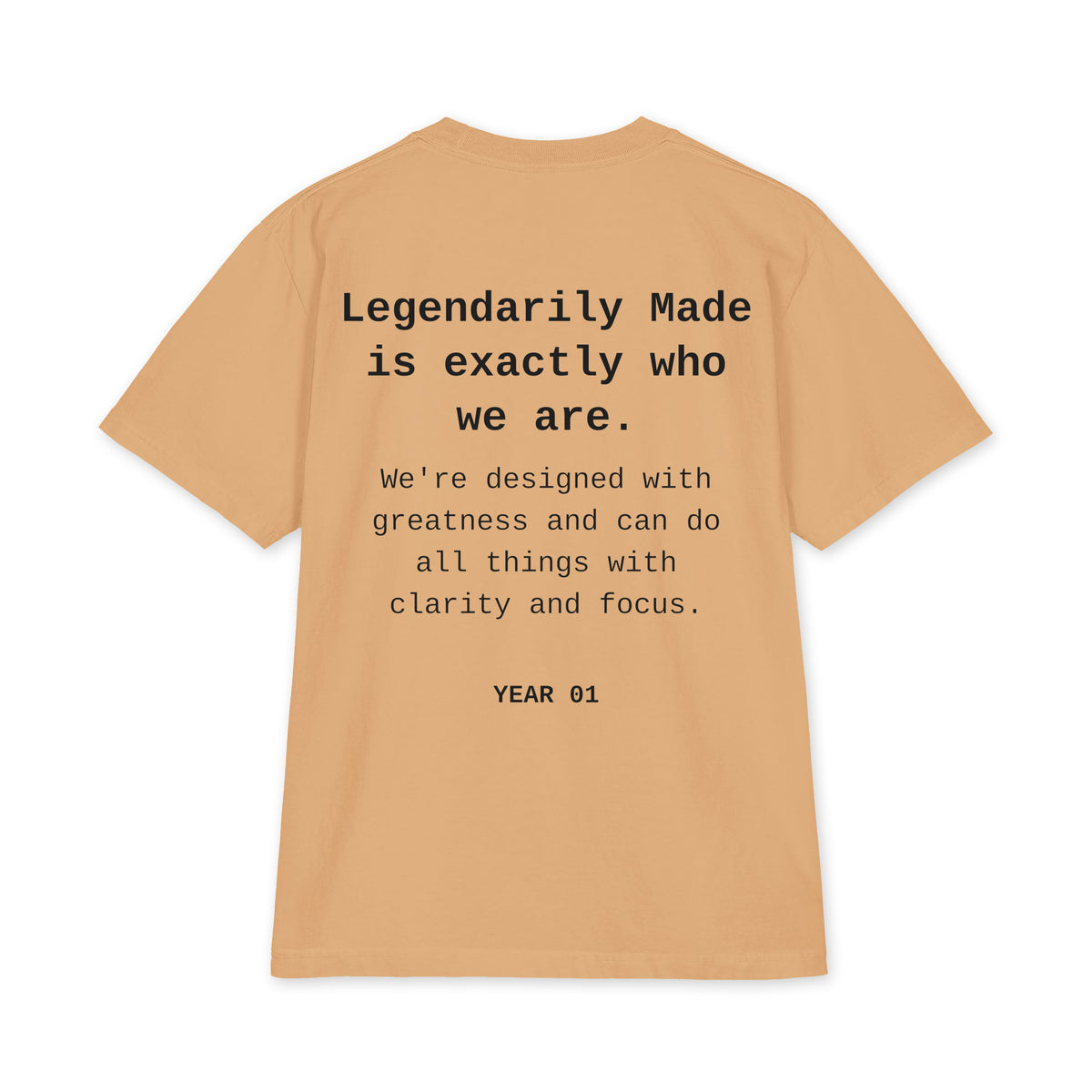 The Statement Heavyweight Tee tan back - Exactly Who We Are back print